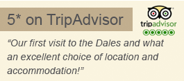 TripAdvisor 5* Review