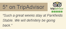 TripAdvisor 5* Review