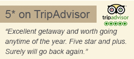 TripAdvisor 5* Review